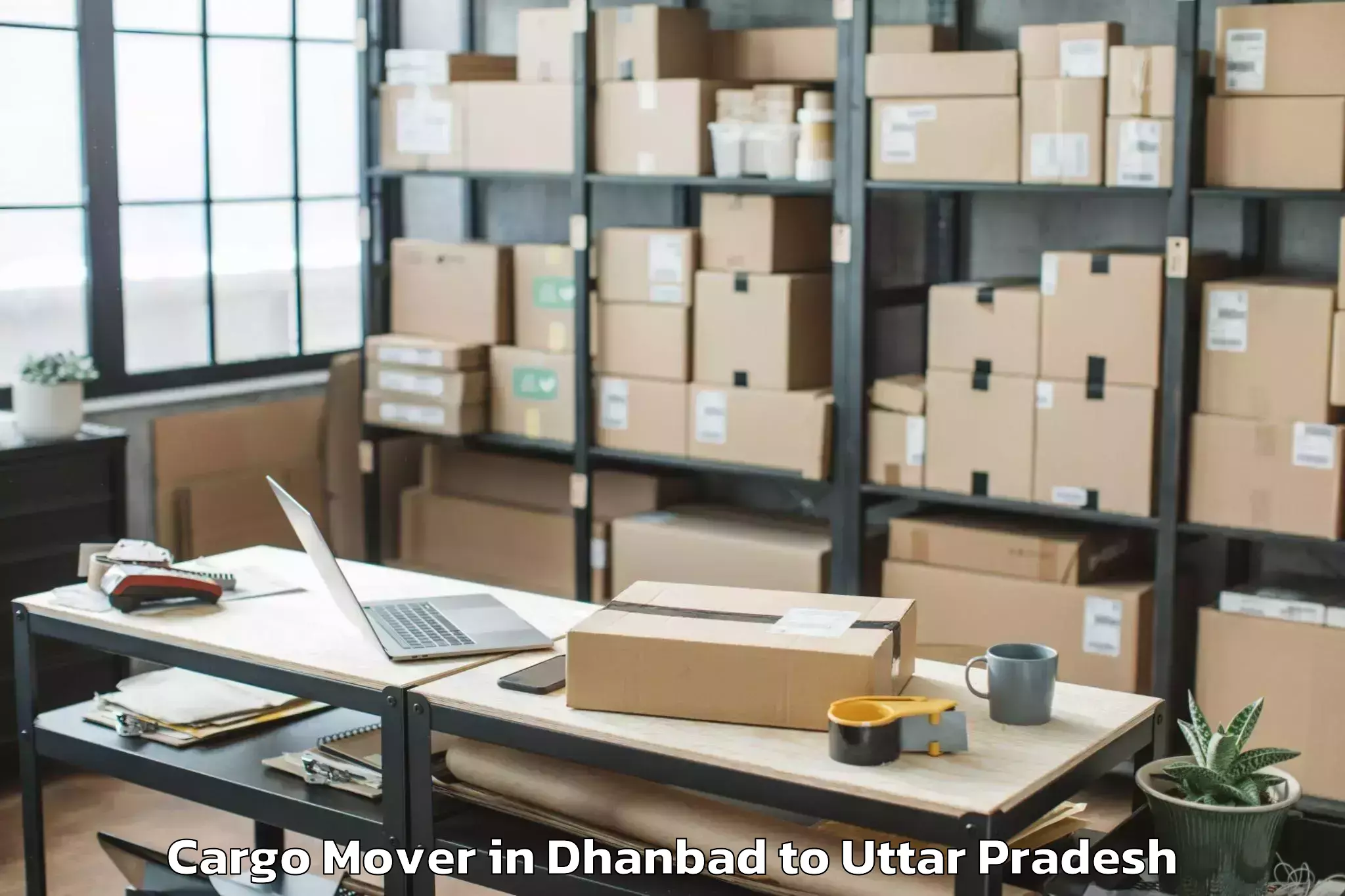 Book Dhanbad to Galgotias University Noida Cargo Mover Online